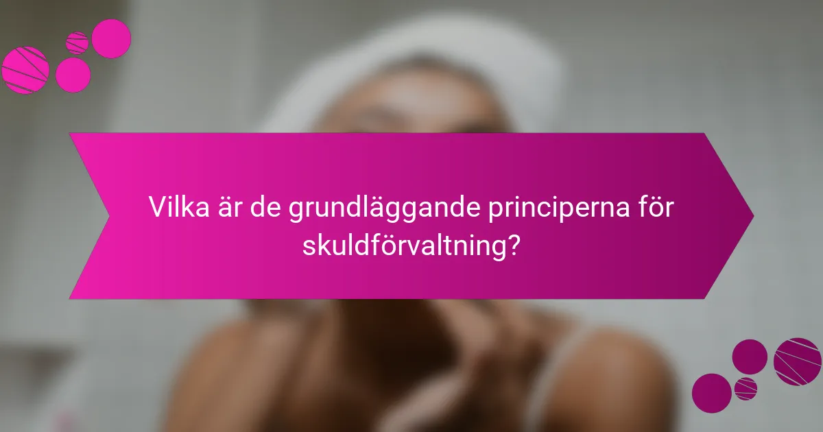 Vilka är de grundläggande principerna för skuldförvaltning?